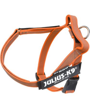 Julius-K9 Belt Harness M/0 - Stylish Orange-Grey Color for Ultimate Pet Comfort | International Shipping Available - Buy Online on GoSupps.com