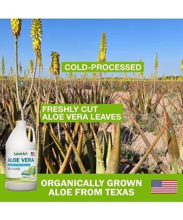 Pure Aloe Vera Juice Unflavored Cold-Processed - 99.7% Organic Aloe Vera Inner Fillet from Fresh Texas Leaves Supports Digestive Comfort & Natural Wellness 64 fl oz (Pack of 2) Unflavoured 64 Fl Oz (Pack of 2) - Buy Online on GoSupps.com