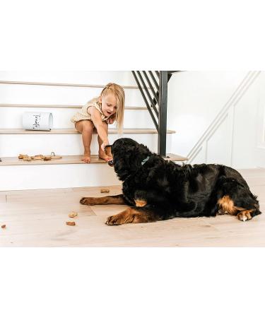 Simply Unleashed White Treat Container with Bamboo Lid - 98 oz | Dog and Cat Storage - Buy Online on GoSupps.com