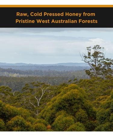 Jarrah TA35+ / MGO 1125+ Extremely Active Honey | Raw & Unpasteurised | Stronger than Manuka 1000 MGO | 260g Jar - Manuka Medical Grade Honey - Buy Online on GoSupps.com