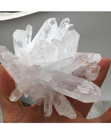 Natural Crystal Rough Natural White Transparent Cluster Stone ore demagnetization Stone Purification Decoration Can be Used for (Size : 650-750g) - Buy Online on GoSupps.com