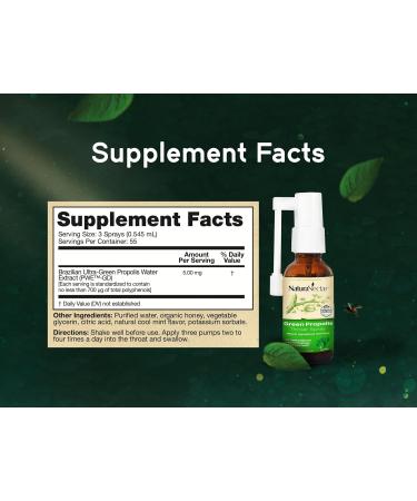 NaturaNectar Green Propolis Throat Spray Unique Soothing Throat Care Relief with Brazilian Bee Propolis Non-Alcoholic Throat Care Formula from Sustainable Beekeeping - 1 Fl Oz - Buy Online on GoSupps.com
