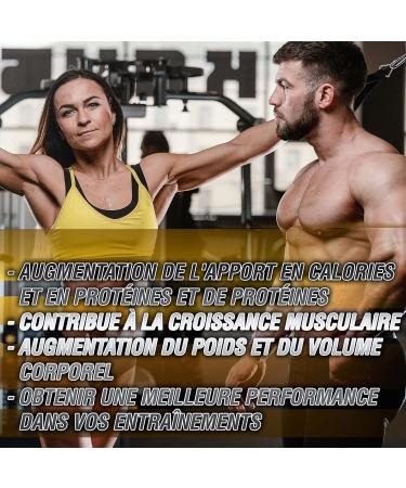 Extreme Gainer | With Whey Protein Magnesium Oatmeal & Maca | High Carbonhydrate Content | Weight Gain | Increased Muscle Mass | Chocolate 1.5 kg - Buy Online on GoSupps.com