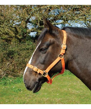 Rhinegold Nylonhaler Cob Tangerine
