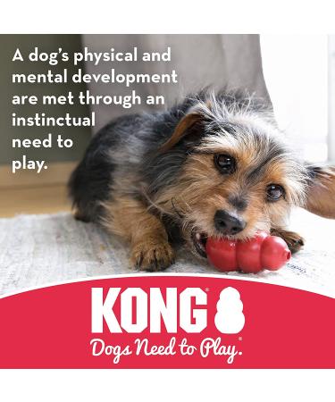KONG Goodie Bone: Durable Rubber Chew Dog Toy - Medium Size - Buy Online on GoSupps.com
