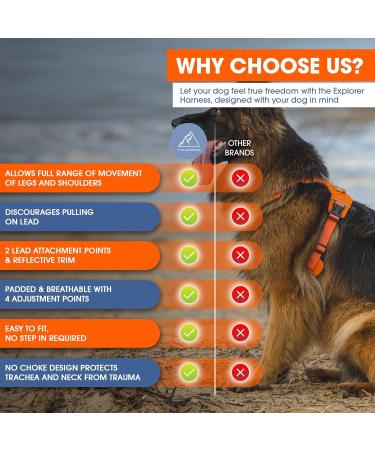 TOUGHDOG Explorer Dog Harness | No Pull, Adjustable, Padded, Durable | Reflective, Easy On/Off | Medium Storm Grey - Buy Online on GoSupps.com