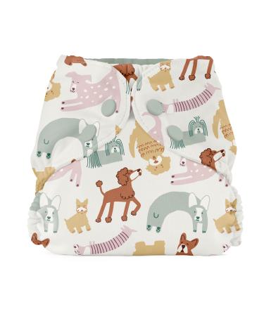 Esembly Cloth Diaper Outer Waterproof Cloth Diaper Cover Swim Diaper Leak-Proof and Breathable Layer Over Prefolds Flats or Fitteds Reusable Diaper with Snap Closure Size 2 (18-35lbs) Off-Leash Size 2 Off-leash