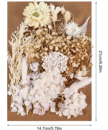 AhlsenL Real Dried Flowers Mix - Hydrangeas, Daisies, White Decorative Petals for DIY Crafts - Buy Online on GoSupps.com