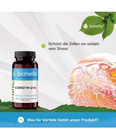 Buy Bioherba Coenzyme Q10 High Dose - 100 Capsules with Zinc | Antioxidant Support for Cell Protection & Metabolism | PZN 17190134 - International Shipping Available - Buy Online on GoSupps.com