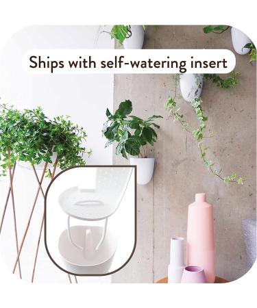Set of 3 MakeGood Virgo Wall Planters: Lightweight, Easy to Water & Install, Melamine Plastic - Create Your Vertical Garden - Buy Online on GoSupps.com