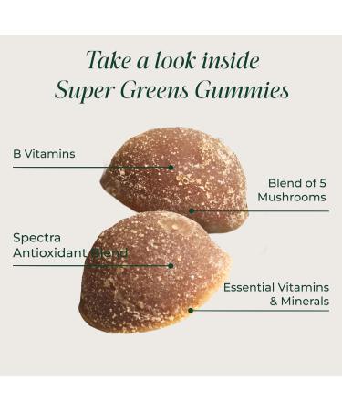 Primal Harvest Super Greens Gummies Superfood Blend with Adaptogenic Mushrooms Vitamins & Nutrient-Rich Minerals & Antioxidants for Energy & Immune Support 1 Pack 60 Count Earthy 1 Count (Pack of 1) - Buy Online on GoSupps.com
