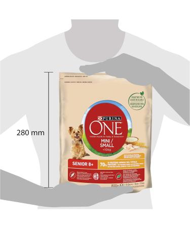 Purina ONE Mini 10 kg for Small Dogs with Dental Care with Chicken and Rice 8 Bags of 800 g - Buy Online on GoSupps.com