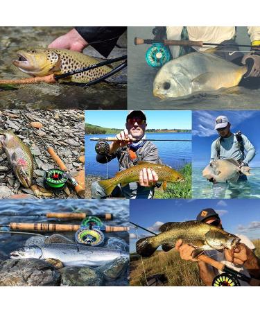 Maximumcatch Carbon Fiber Rod Transport Tube with Aluminum Cap - Ideal for 9ft/10ft 4-Piece Fly Rods | Durable & Lightweight - Buy Online on GoSupps.com