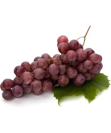 Dragon Herbs Super Pill No. 2 - 500 mg, 60 Vegetarian Capsules for Optimal Health - Buy Online on GoSupps.com