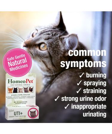 HomeoPet UTI Plus for Cats - Urinary Tract Support - 15ml - Buy Online on GoSupps.com