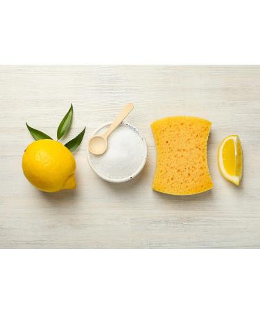 4oz Citric Acid Powder - Anhydrous Fine Granules | Food Grade Lemon Salt for Cheese Making & Bath Bombs - Kosher Sour Salt (1 Pack) - Buy Online on GoSupps.com