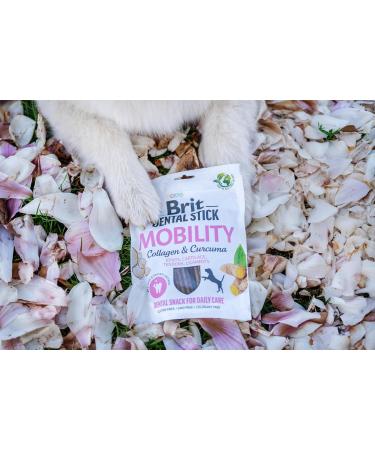 Brit Adult Food 251g - Buy Online on GoSupps.com