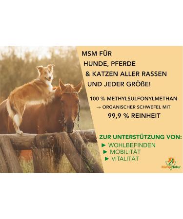 Buy Mahu Nature MSM Powder 1kg - High Purity Methylsulfonylmethane for Horses & Dogs - Organic Sulfur High-Dose 1000g - Buy Online on GoSupps.com