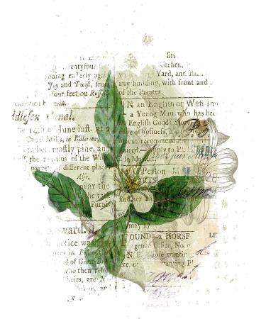 Greenery Overlay Rice Paper 8x10.5 inch - 6 Different Printed Mulberry Paper Images for Decoupage Crafts and Mixed Media Art - Buy Online on GoSupps.com