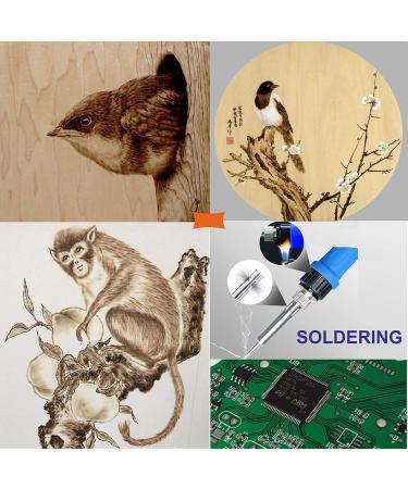 112PCS Calegency Wood Burning Kit - Digital LCD Display Pyrography Pen Set for Wooden Crafts - Buy Online on GoSupps.com