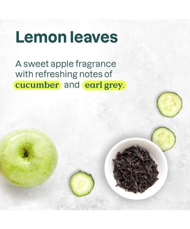 ATTITUDE Plastic-Free Deodorant EWG Verified Aluminum Free Vegan Naturally Sourced Body Deodorants for Women & Men Dermatologically Tested Lemon Leaves 3 Ounces (Pack of 6) Lemon Leaves 3 Ounce (Pack of 6) - Buy Online on GoSupps.com