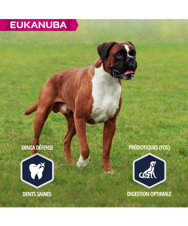 Eukanuba Dog Dry Food Boxer Chicken 12kg - Buy Online on GoSupps.com