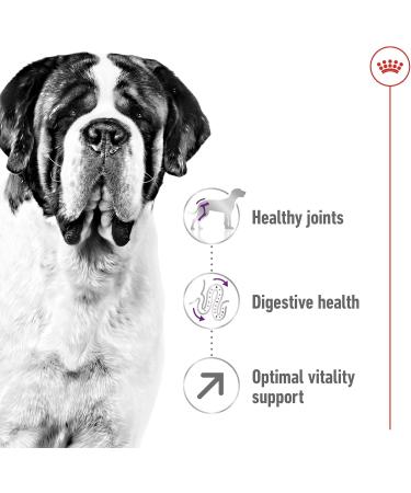 Royal Canin Dog Food Giant Adult 4kg - Buy Online on GoSupps.com