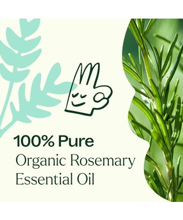 Buy Plant Therapy Organic Rosemary Essential Oil - 100% Pure USDA Certified Undiluted Aromatherapy - 10 mL - International Shipping Available - Buy Online on GoSupps.com