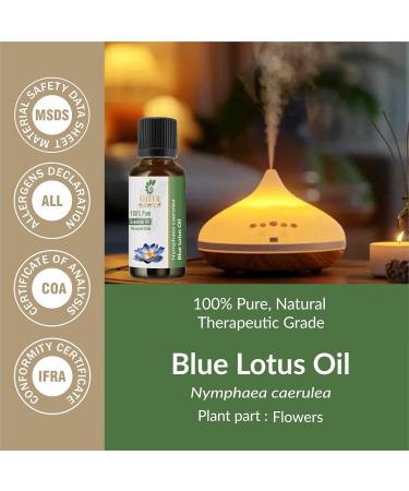 Blue Lotus Essential Oil Therapeutic Grade 100% Pure and Natural Premium Grade Oil (5 ML) Bluelotus 5 ML (0.16 Fl. Oz) - Buy Online on GoSupps.com