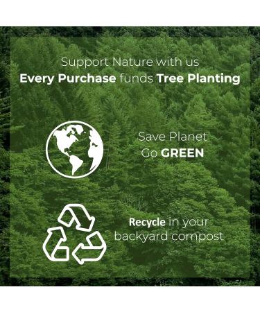 eezee2BUY Disposable Wooden Cutlery Set (300 PCS) - Natural Eco Friendly Party Pack of Birchwood Knives Forks & Spoons - Lightweight Durable & Safe Tableware (Forks + Spoon + knives) - Buy Online on GoSupps.com