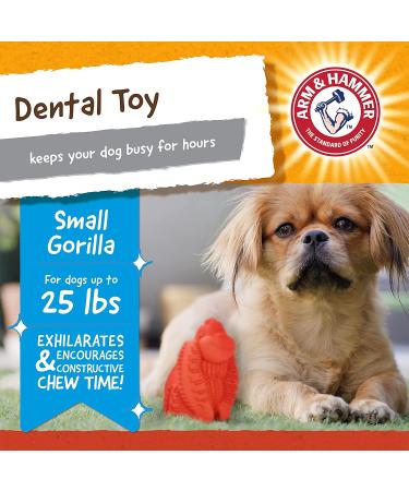Arm & Hammer Treadz Gorilla Dental Toy for Strong Chewers - Small Size - Buy Online on GoSupps.com