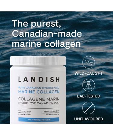 Landish Pure Canadian Hydrolyzed Marine Collagen Collagen Peptides Powder Unflavoured 250 g - Buy Online on GoSupps.com