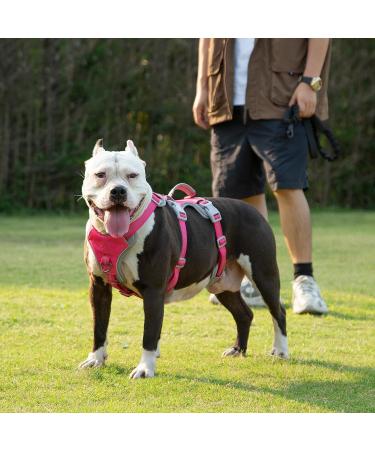 Huntboo Reflective Dog Harness & Dishes - Padded Waterproof Adjustable Vest for Large Dogs (Rose Red L) - Perfect for Walks & Racing - Buy Online on GoSupps.com