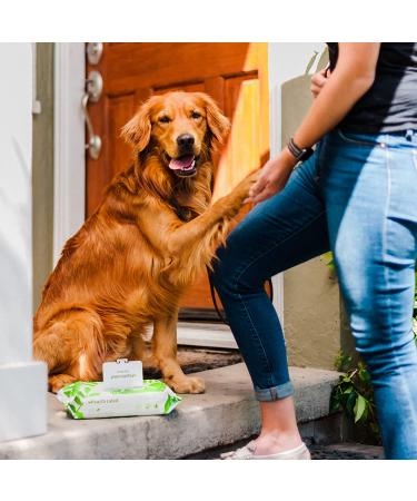 Earth Rated Unscented Dog Wipes - 100 Biodegradable Wipes for Clean Paws & Coats - Buy Online on GoSupps.com