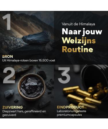 MOVEZEN Shilajit+ 100 pure Himalayan resin 30 g laboratory tested Mumijo Premium rich in 75 fulvic acid and more than 85 natural minerals Capsule - Buy Online on GoSupps.com
