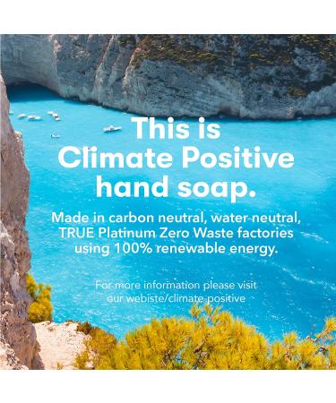 Buy ECOS Hypoallergenic Lavender Hand Soap (17oz, 6-Pack) - Earth Friendly Products - Buy Online on GoSupps.com