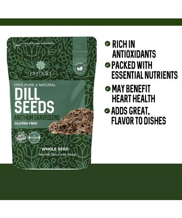 Dill Seed 1lb - Whole Spice for Pickling and Canning, Non-GMO - 16oz - Buy Online on GoSupps.com