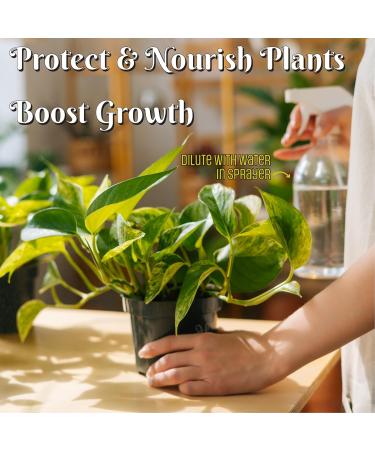 Simple Nature 6% Food Grade Hydrogen Peroxide Solution atural Multipurpose Cleaner Made in USA - 128 Oz - Buy Online on GoSupps.com