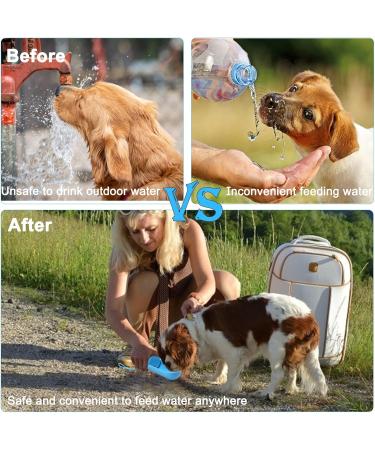 Buy KQPIINW Portable Dog Water Bottle - 300ml Foldable Pet Water Bottle for Camping Walking & Hiking - Ideal for On-the-Go Hydration (Blue) - Buy Online on GoSupps.com