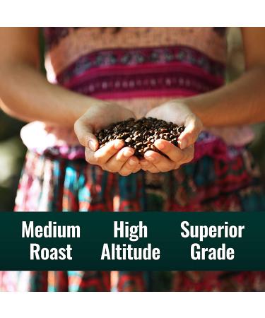 Natural Force Organic Clean Coffee Classic | Mold & Mycotoxin Free | Lab Tested | Low Acidity | Incredible Taste | Whole Bean Medium Roast 12 oz - Buy Online on GoSupps.com