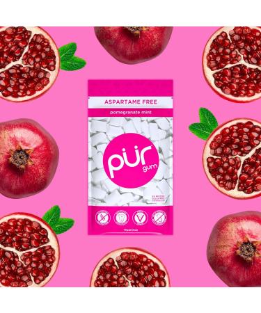 PUR Gum | Sugar-Free Chewing Gum | 100% Xylitol Vegan Aspartame-Free Gluten-Free & Diabetic-Friendly | Pomegranate Mint Flavor | 55 Pieces (3 Pack) - Buy Online on GoSupps.com