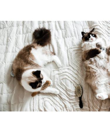 Lucybalu Cat Brush for Short & Long Hair | Natural Bristles & Wooden Handle | Best Cat Grooming Tool | Fellbrush & Katzenkamm - Buy Online on GoSupps.com