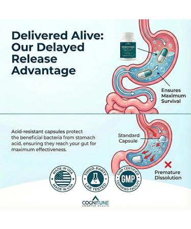 CogniTune Probiotic with 5 Billion AFU Akkermansia Muciniphila - Supports Gut Health with 30 Billion CFU and Prebiotic Fiber - Delayed Release Capsules - Buy Online on GoSupps.com