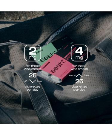 Sesh+ Nicotine Gum Pomegranate 100 Pieces 4mg Per Piece - Help Quit Smoking Discreet Usage Long Lasting Flavour Smokeless Stain Free 10 count (Pack of 10) - Buy Online on GoSupps.com