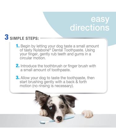 Nylabone Advanced Oral Care Dog Toothpaste 2.5 oz - Tartar Control for Healthy Teeth - International Shipping Available - Buy Online on GoSupps.com
