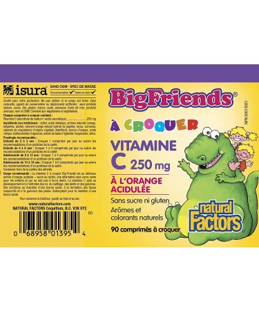 Natural Factors Big Friends Chewable Vitamin C 250 mg â€“ Tangy Orange Flavor, 90 Tablets - Buy Online on GoSupps.com