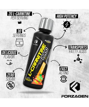 Forzagen L-Carnitine 2000 - Liquid L-Carnitine with Vitamin B6 | Acetyl L-Carnitine | 30 Servings Sour Fruit Punch - Boost Energy & Metabolism - Buy Online on GoSupps.com