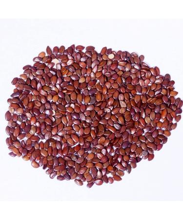 RAW HERB/JADI BOOTI SUBABUL SEEDS SAFED BABOOL BEEJ BABUL BEEJ LEUCAENA LEUCOCEPHALA (250gm) - Buy Online on GoSupps.com