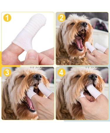 Auxsooul 24-Piece Dog Finger Toothbrush Set | Anti-Plaque Pet Care | Efficient Cleaning for Dogs & Rodents - Buy Online on GoSupps.com