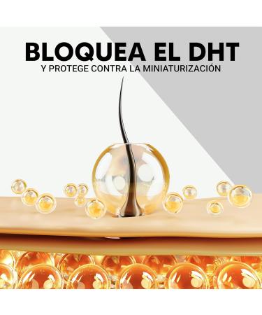 Apr s-shampooing la Biotine pour les Cheveux Collag ne Huile d'Argan Huile de Jojoba et Huile de Macadamia avec 18 Vitamines pour les Cheveux I Pr vient et aide r duire la chute XXL 400 ml - Buy Online on GoSupps.com